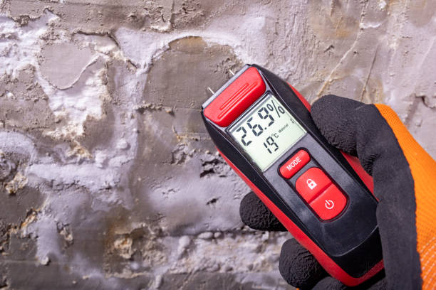  East Rockingham, NC Mold Removal Pros